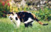 liza2.JPG (50208 octets)
